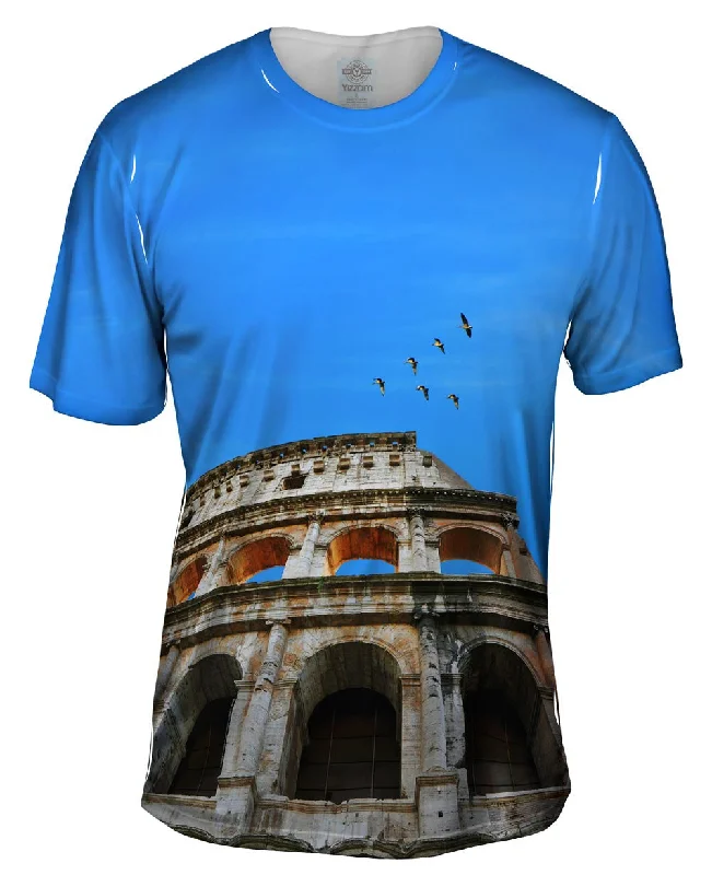 Men's long - sleeve henley t - shirts with button - down placketsRoman Colosseum