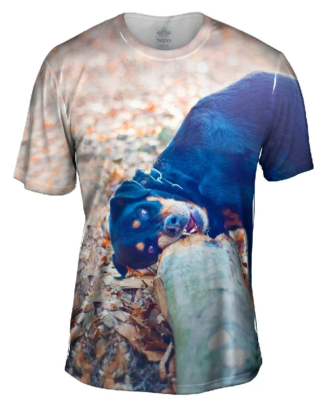 Men's printed Hawaiian t - shirts for tropical vacationsRottweiler New Chew Toy