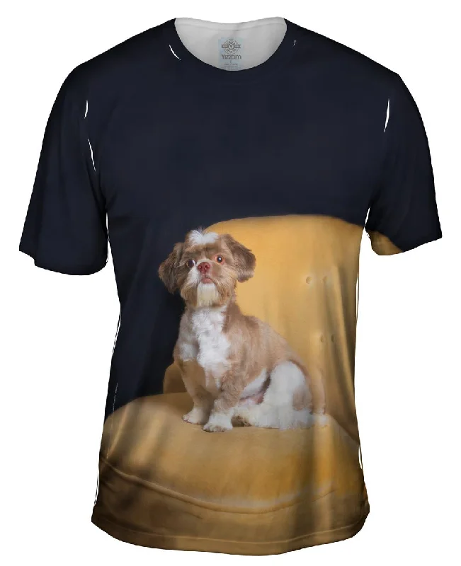 Men's antimicrobial t - shirts for odor - free freshness during travelRoyal Shihtzu