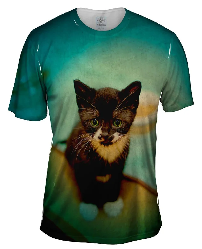 Men's antimicrobial t - shirts for odor - free freshness during travelSalem Kitten