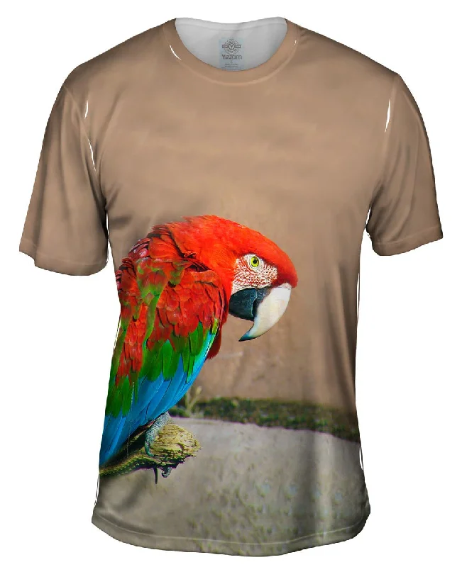 Men's antimicrobial t - shirts for odor - free freshness during travelSassy Red Parrot