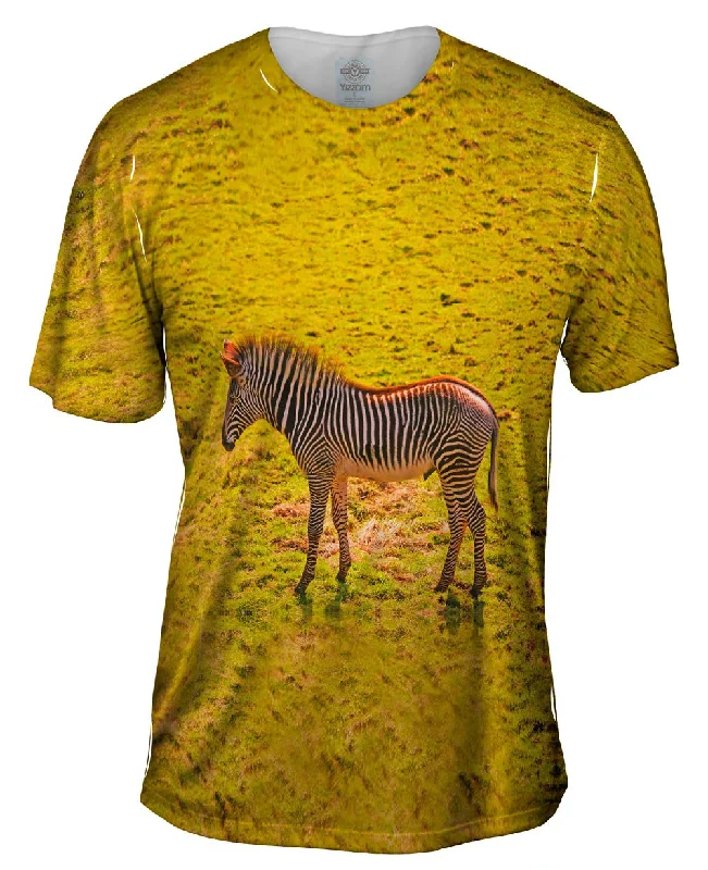 Men's UV - protection t - shirts for outdoor activities in the sunSavannah Zebra