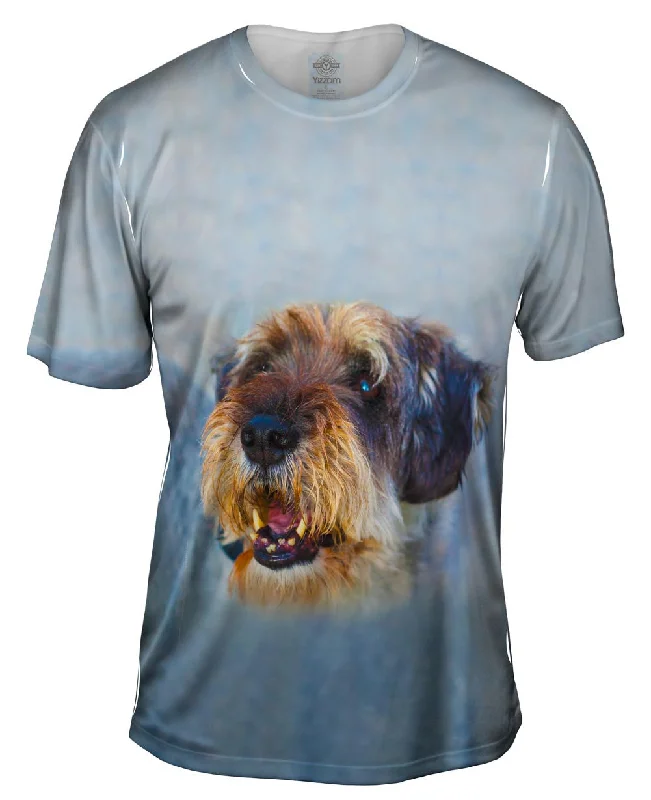 Men's long - sleeve henley t - shirts with button - down placketsScruffy Time Dog