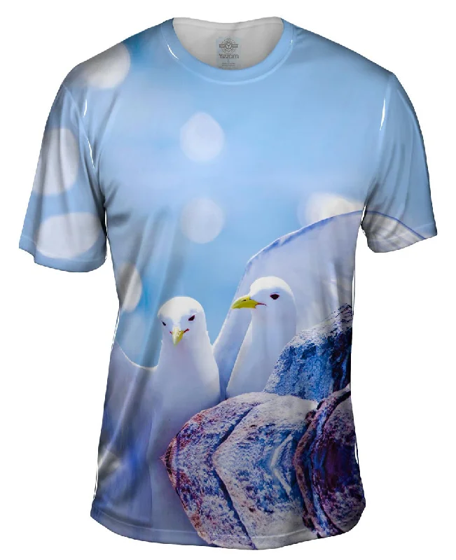 Men's lightweight performance t - shirts for running marathonsSeagull Fancy