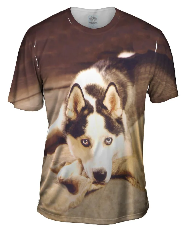 Men's moisture - wicking athletic t - shirts for intense workoutsSerious Husky