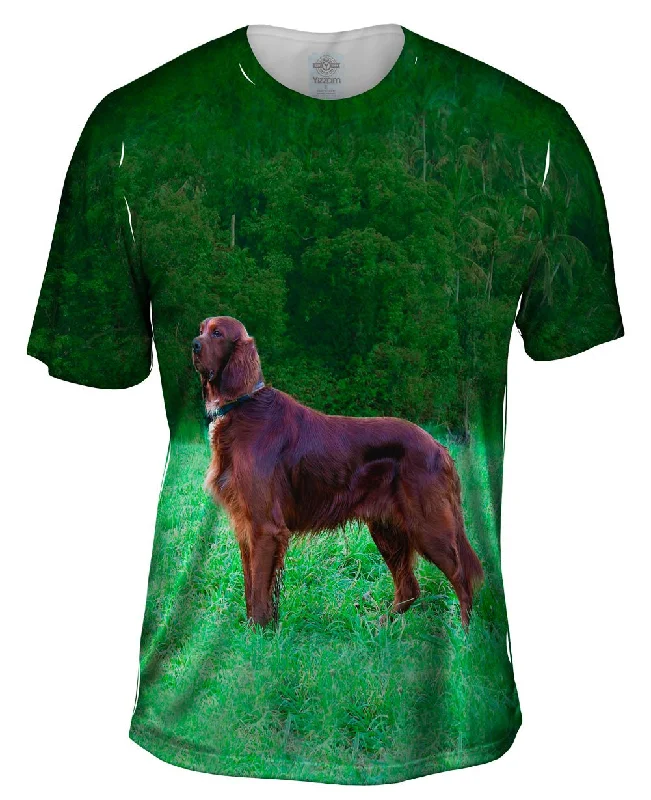 Men's distressed denim - look t - shirts with a rugged appealSetter Dog On The Scent