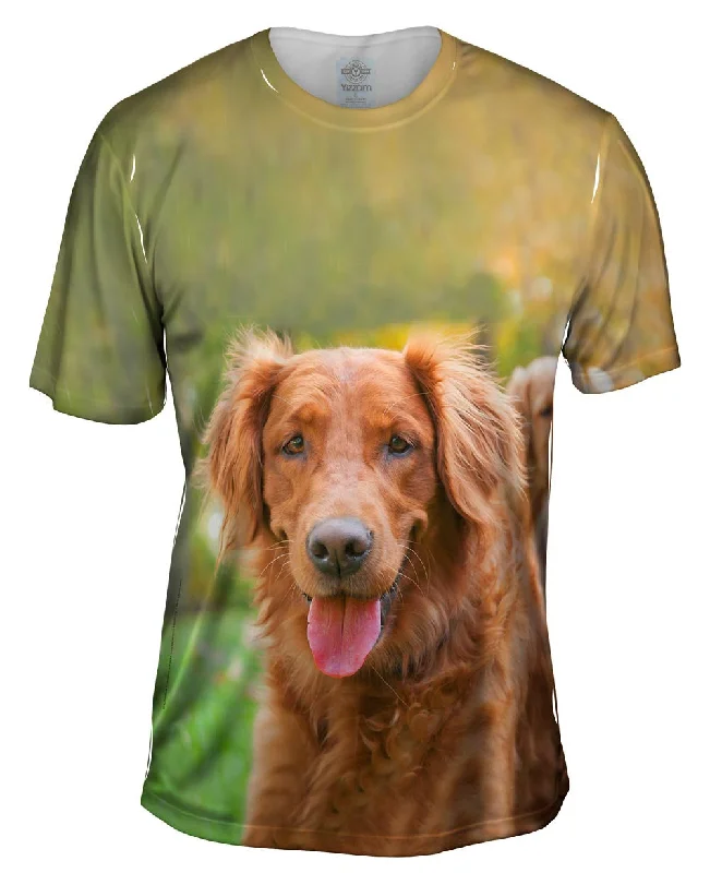 Men's organic cotton crew - neck t - shirts for everyday comfortShaggy Eared Golden Lab
