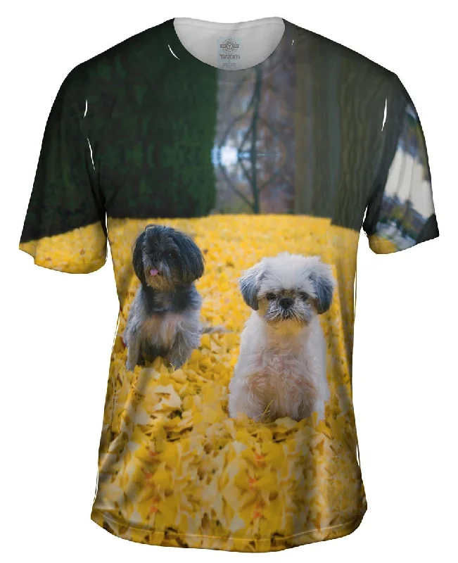 Men's organic cotton crew - neck t - shirts for everyday comfortShih Tzus In Fall