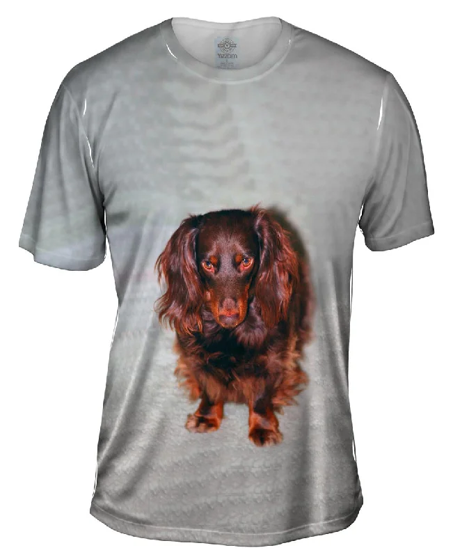 Men's tie - dye t - shirts with a bohemian styleShy Brown Dachshund