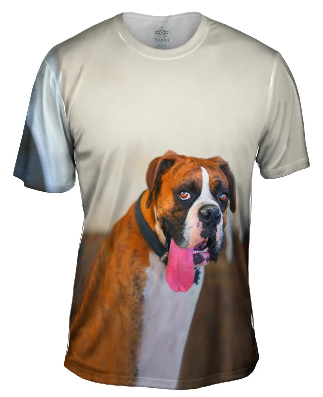 Men's polo t - shirts with a contrast collar for a preppy lookSilly Face Pitbull