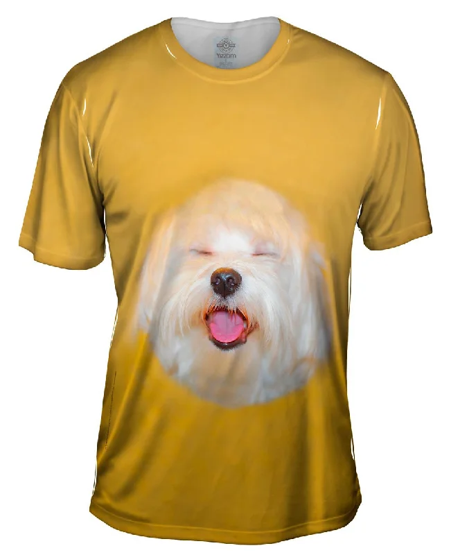 Men's v - neck muscle t - shirts for a body - building aestheticSinging Maltese