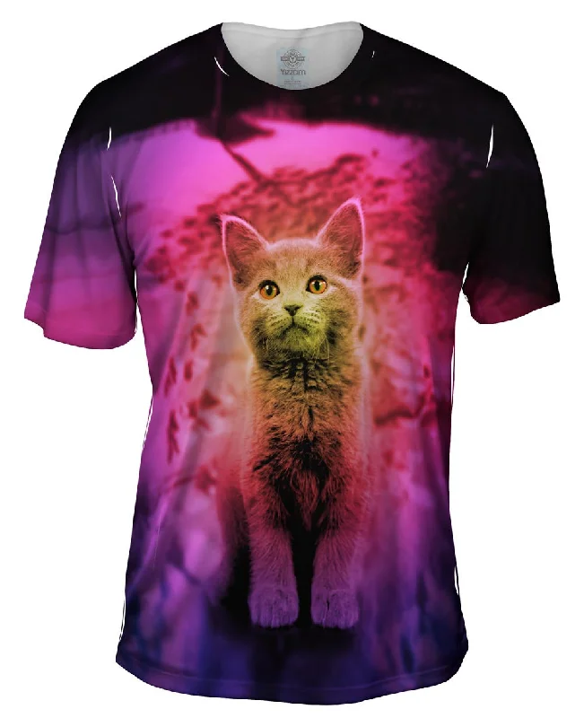 Men's mock - neck t - shirts with a modern and sleek styleSnow Track Kitten