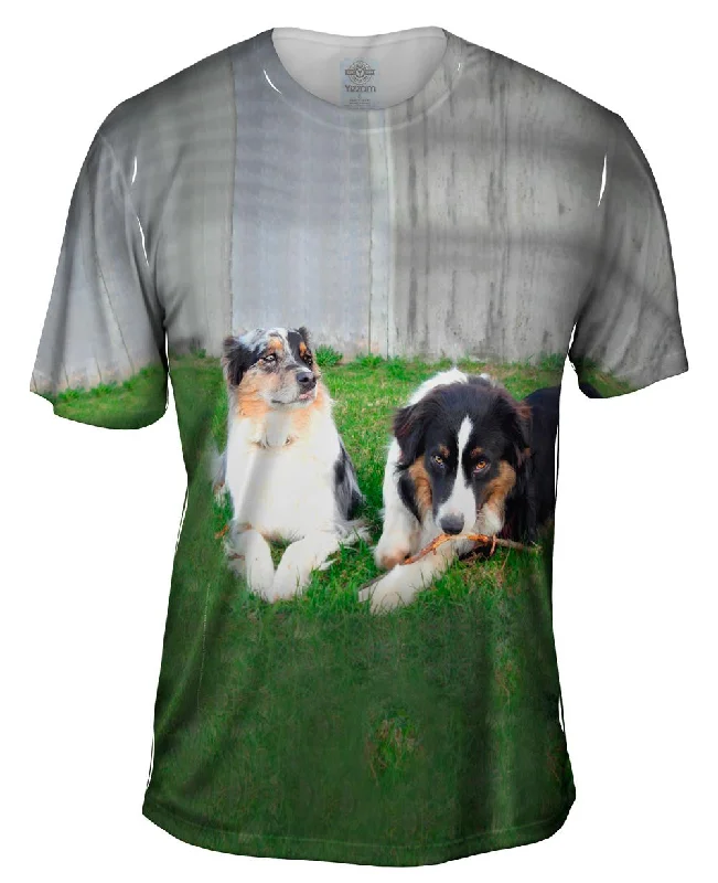 Men's UV - protection t - shirts for outdoor activities in the sunSocial Collies