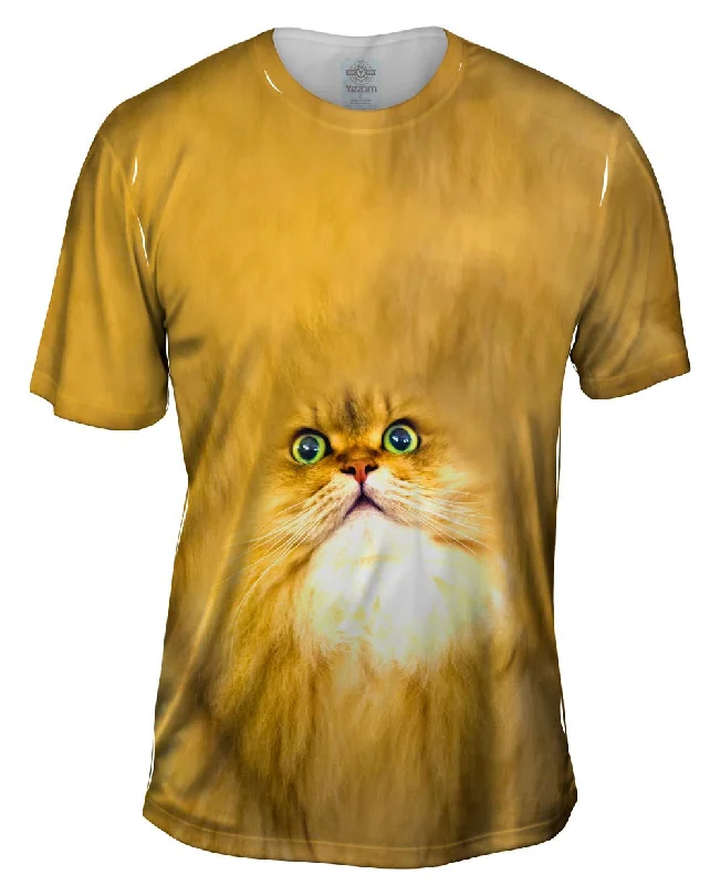 Men's slim - fit graphic t - shirts with vintage rock band printsSoft Cat