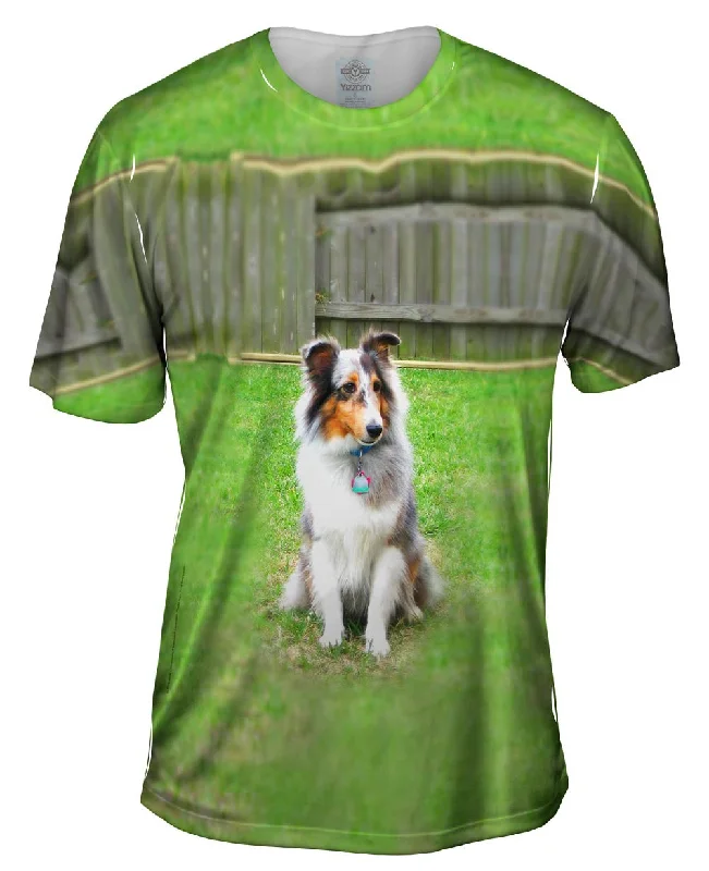 Men's organic cotton crew - neck t - shirts for everyday comfortSpirited Sheltie