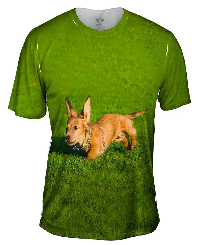Men's thermal t - shirts with a high - neck design for cold weatherSpock Dachshund