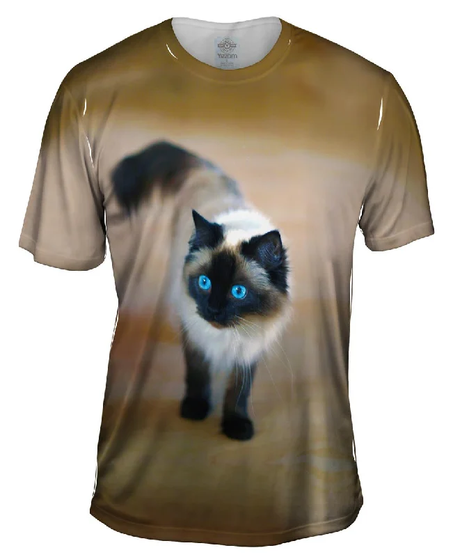 Men's mock - neck t - shirts with a modern and sleek styleSpooked Kitty Cat
