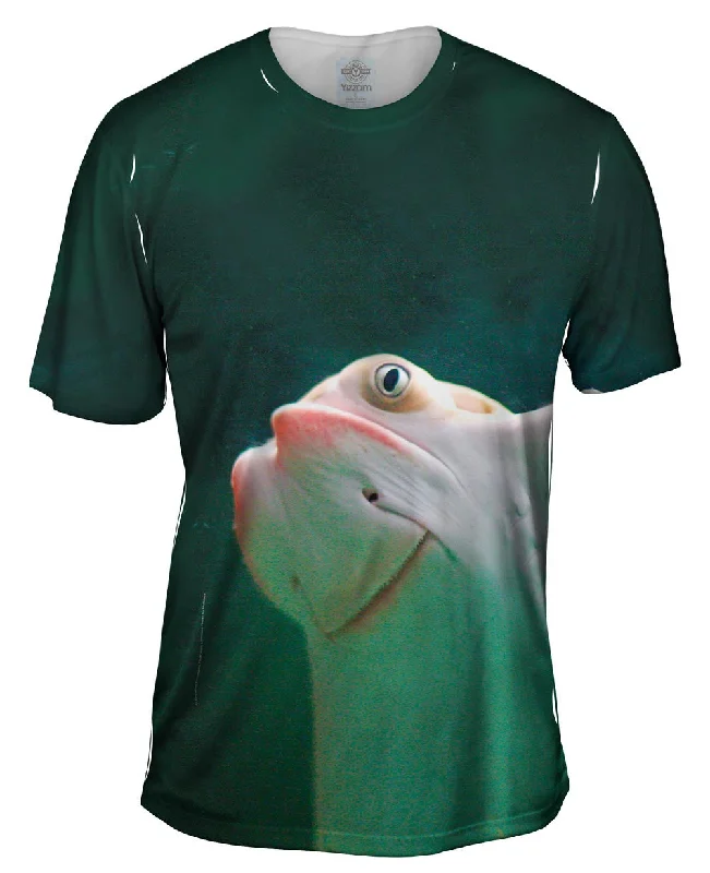 Men's organic cotton crew - neck t - shirts for everyday comfortSting Ray Rising
