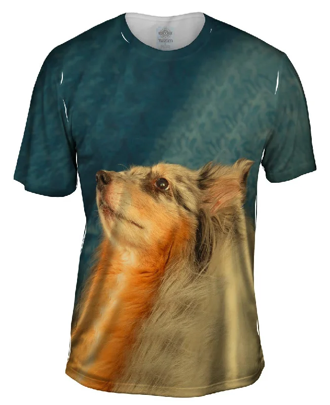 Men's tie - dye t - shirts with a bohemian styleStoic Sheltie
