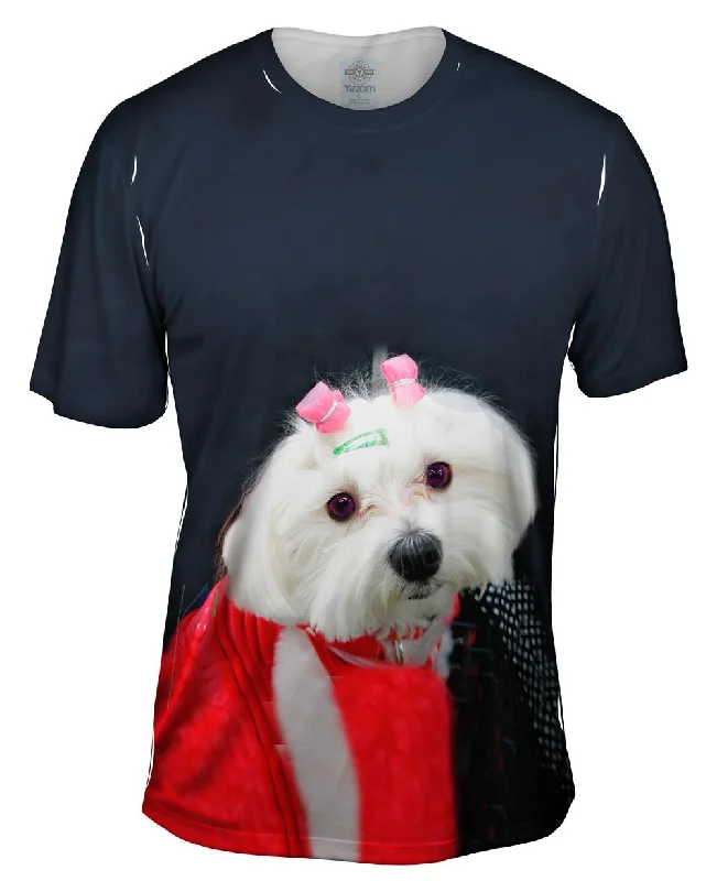 Men's polo t - shirts with a contrast collar for a preppy lookStylish Maltese