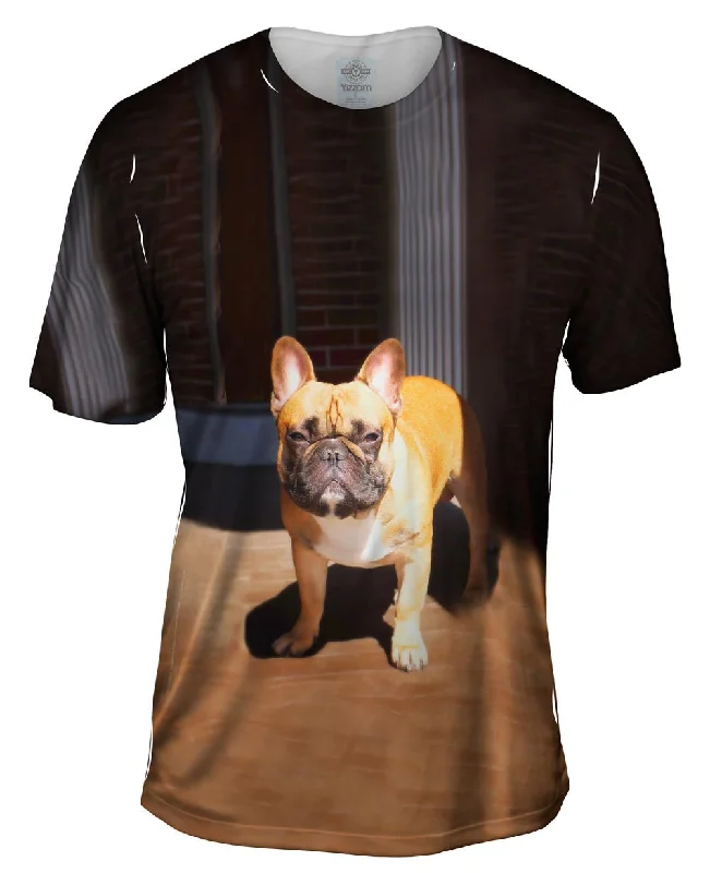 Men's lightweight performance t - shirts for running marathonsSun Is In My Eyes French Bulldog