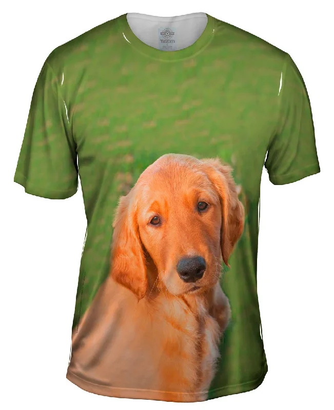 Men's eco - friendly recycled t - shirts for sustainable fashion choicesSunny Golden Lab