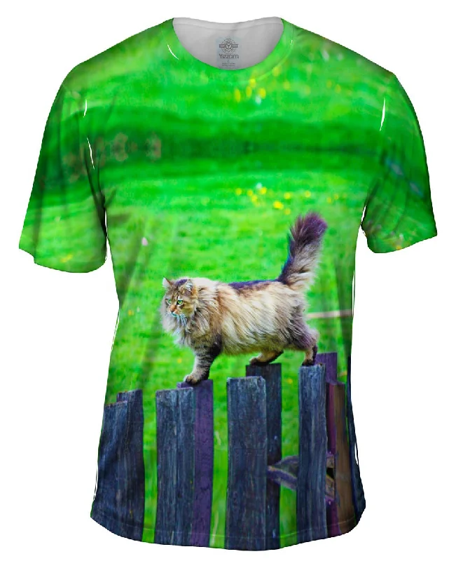 Men's UV - protection t - shirts for outdoor activities in the sunSure Footed Cat