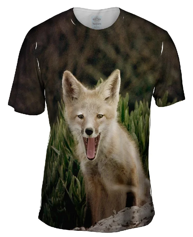 Men's organic cotton crew - neck t - shirts for everyday comfortTall Grass Fox