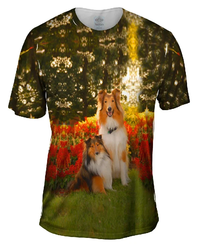 Men's short - sleeve linen t - shirts for summer beach outingsTender Border Collie