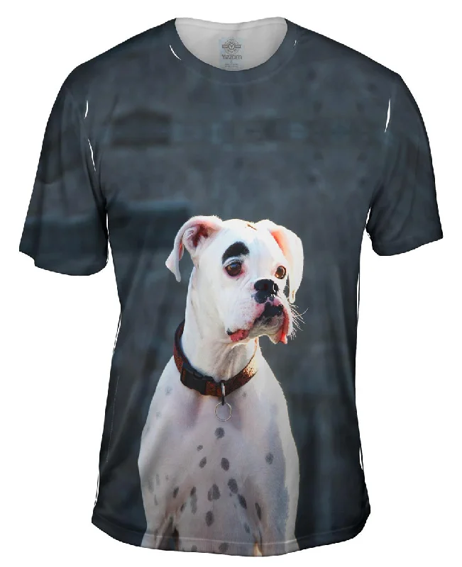 Men's antimicrobial t - shirts for odor - free freshness during travelTender Boxer