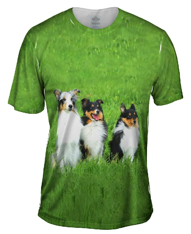 Men's ribbed t - shirts with a textured finish for added styleThree Shelties At Attention
