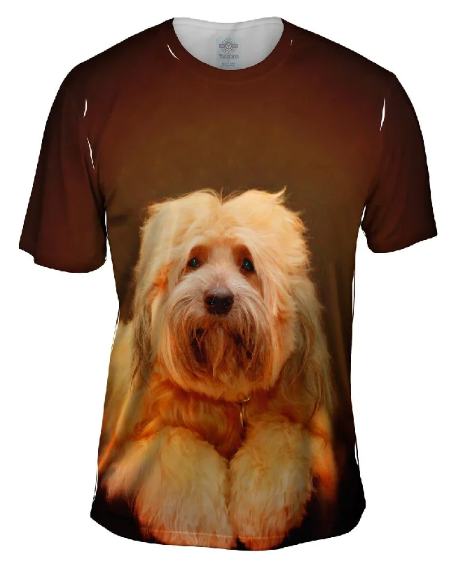 Men's antimicrobial t - shirts for odor - free freshness during travelTibetan Terrier