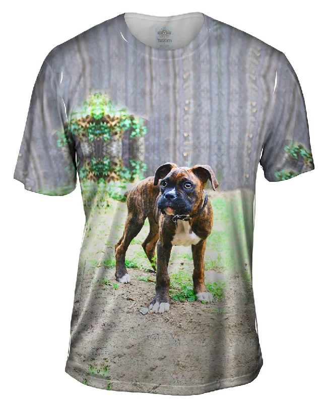 Men's v - neck muscle t - shirts for a body - building aestheticTiger Striped Boxer