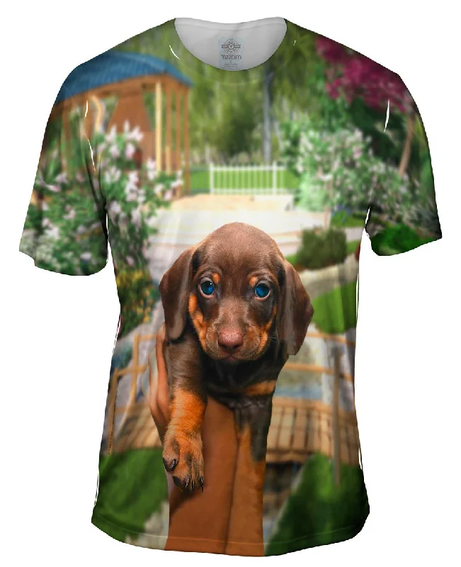 Men's moisture - wicking athletic t - shirts for intense workoutsTiny Dachshund Showcase