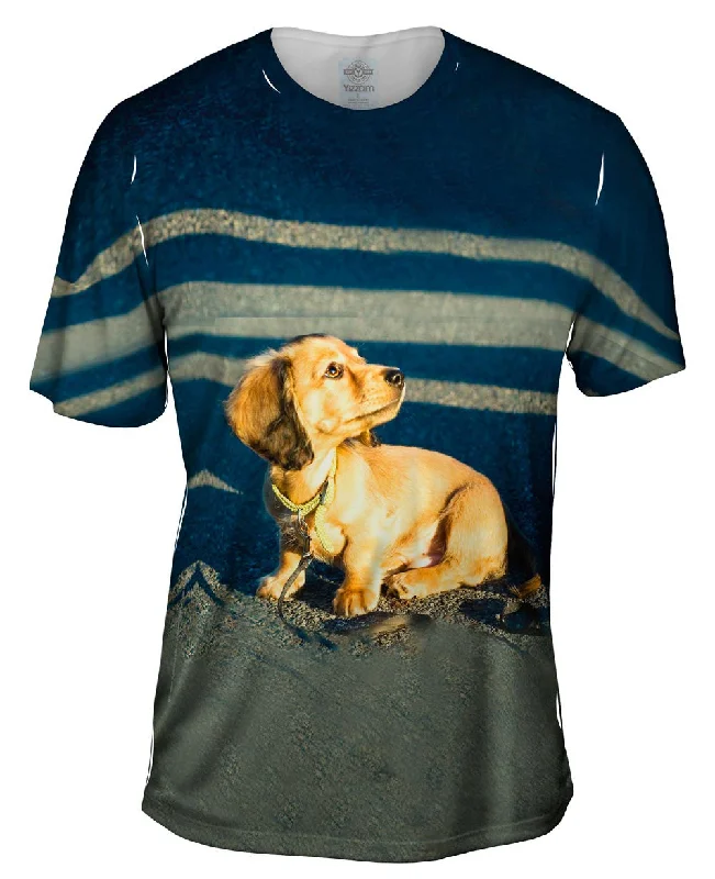 Men's lightweight performance t - shirts for running marathonsTiny Dachshund Woof