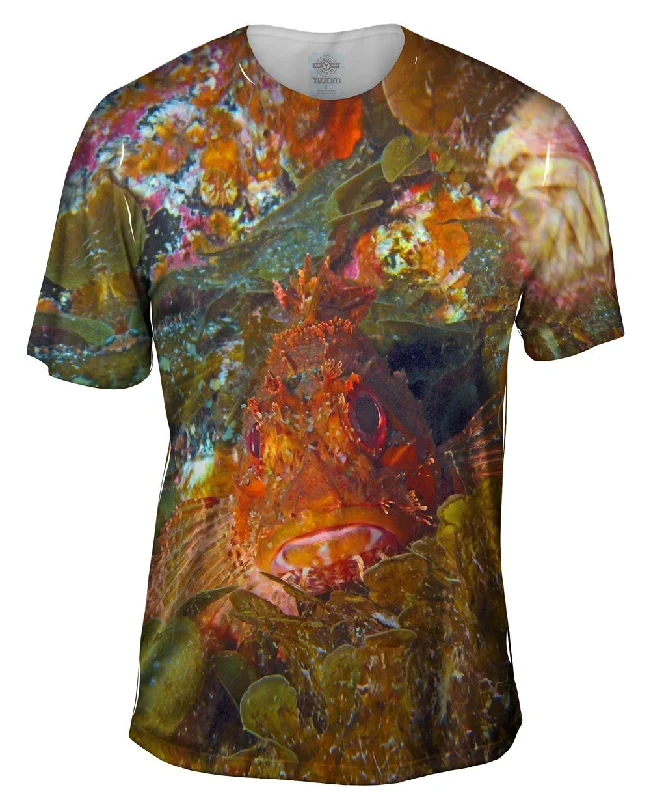Men's polo t - shirts with a contrast collar for a preppy lookTout Terrain Fish Glare Underwater