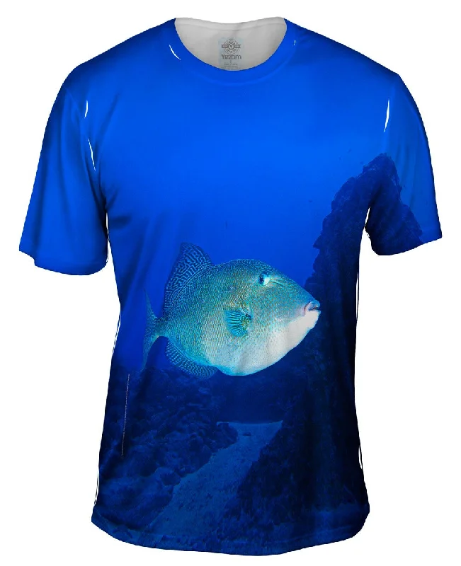 Men's antimicrobial t - shirts for odor - free freshness during travelTron Fish Underwater