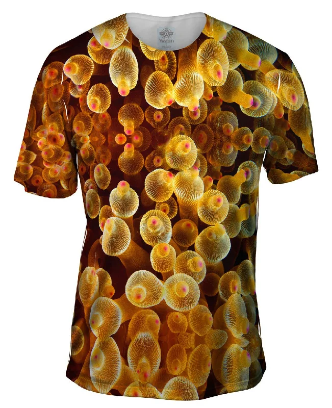 Men's moisture - wicking athletic t - shirts for intense workoutsUnderwater Bubble Tip Anemone